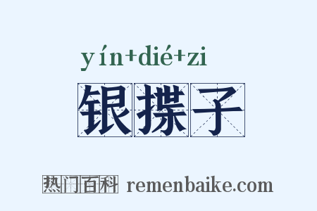 银揲子是什么意思的图片